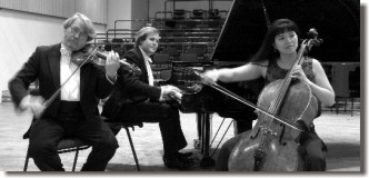 European Fine Arts Trio